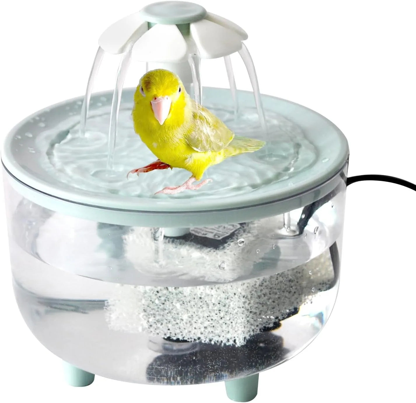 Automatic Indoor Bird Bath Fountain