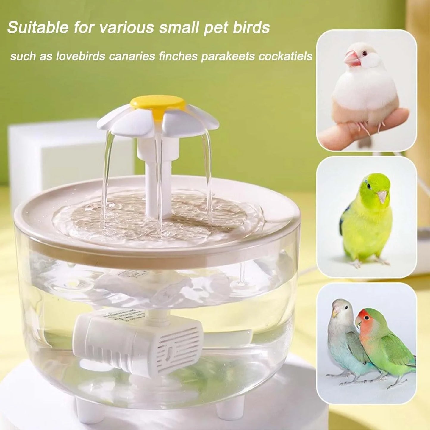 Automatic Indoor Bird Bath Fountain