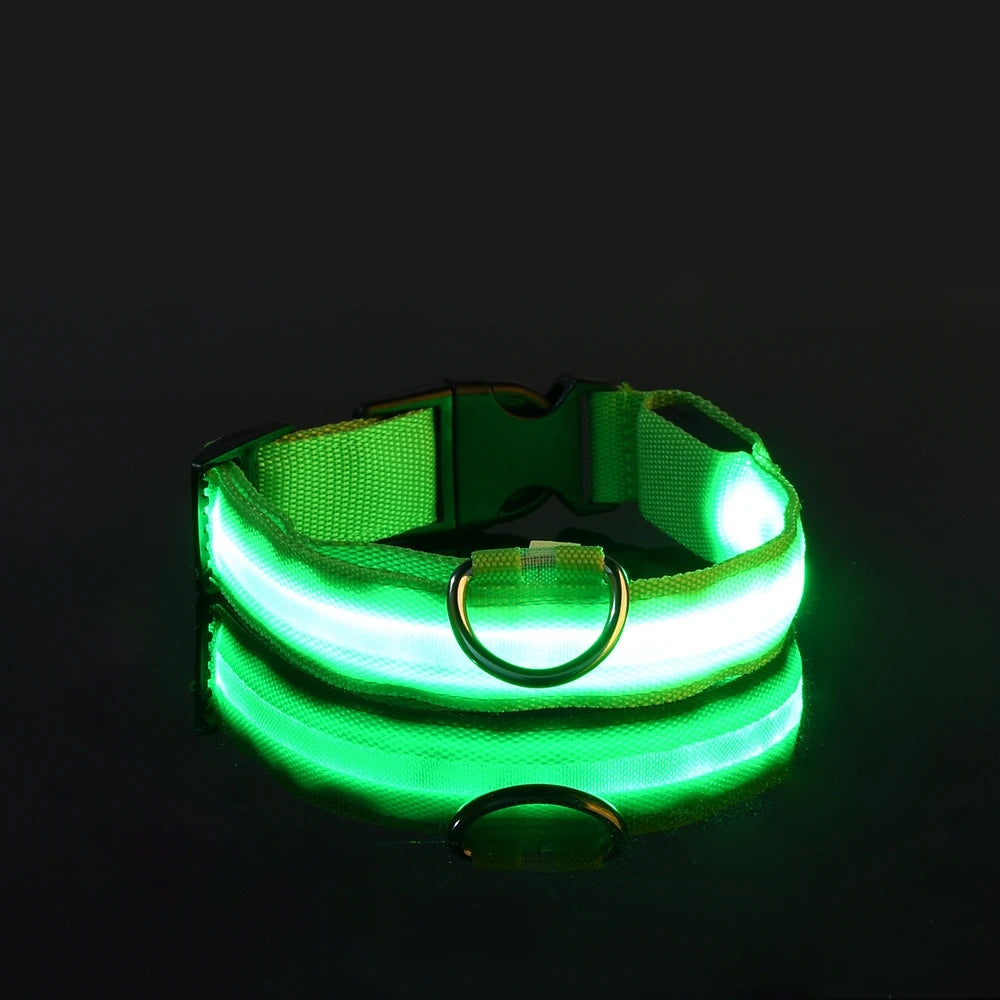 Nylon LED Night Safety Flashing Glow In The Dark Dog Leash Dogs Luminous Fluorescent Pet 
 Collar