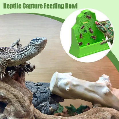 Reptile Suction Cup Feeder Anti-Escape Insect Food Dish Bowl For Snake Frog Tortoise Bearded Dragon Spider Amphibian