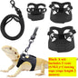 Bearded Dragon Harness and Leash Set, 3 Size Adjustable Soft Leather Reptile Leash, Lizard Harness with Retractable