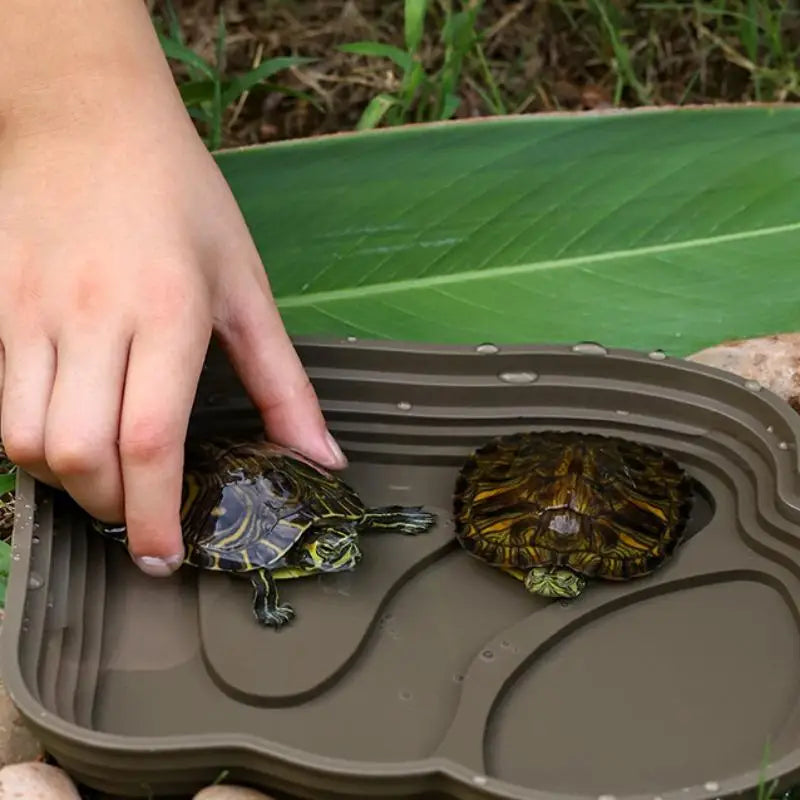 Step-Style Reptile Basin, Special Drinking Bath Pool for Semi-Aquatic Turtles, Large Space Landscape Breeding Tray
