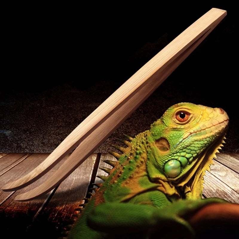 Bamboo Reptile Feeding Tongs – 28cm Long Tweezers for Lizard, Gecko, Turtle, Snake, Spider, Bird, 크레스티드게코