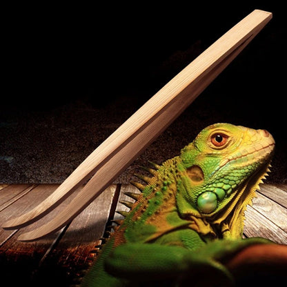 Bamboo Reptile Feeding Tongs – 28cm Long Tweezers for Lizard, Gecko, Turtle, Snake, Spider, Bird, 크레스티드게코