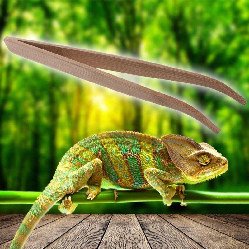 Bamboo Reptile Feeding Tongs – 28cm Long Tweezers for Lizard, Gecko, Turtle, Snake, Spider, Bird, 크레스티드게코