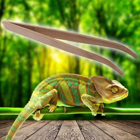 Bamboo Reptile Feeding Tongs – 28cm Long Tweezers for Lizard, Gecko, Turtle, Snake, Spider, Bird, 크레스티드게코