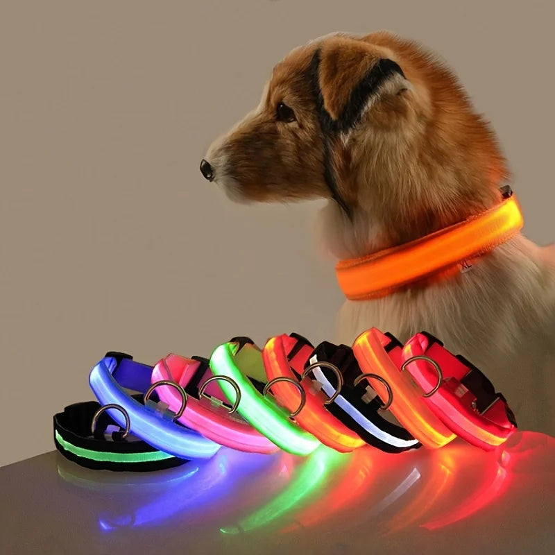 Nylon LED Night Safety Flashing Glow In The Dark Dog Leash Dogs Luminous Fluorescent Pet 
 Collar