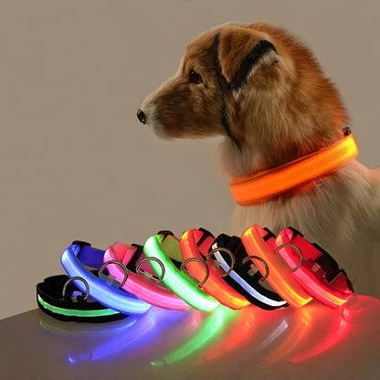 Nylon LED Night Safety Flashing Glow In The Dark Dog Leash Dogs Luminous Fluorescent Pet 
 Collar