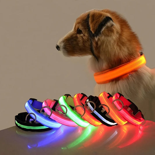 Nylon LED Night Safety Flashing Glow In The Dark Dog Leash Dogs Luminous Fluorescent Pet 
 Collar