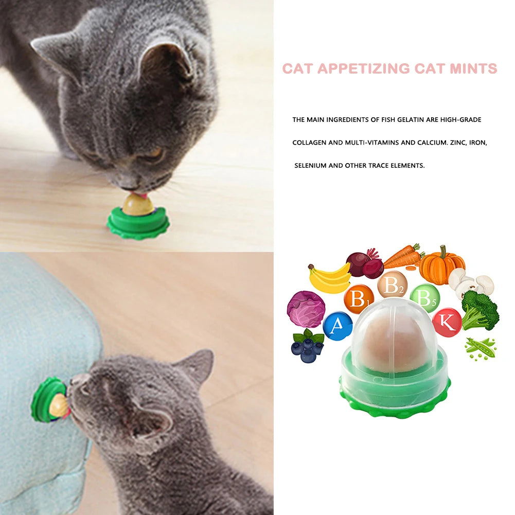 Cat Catnip Licking Candy for Kitten Increase Drinking Nutrition Gel Snacks