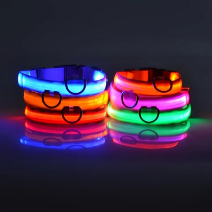 Nylon LED Night Safety Flashing Glow In The Dark Dog Leash Dogs Luminous Fluorescent Pet 
 Collar