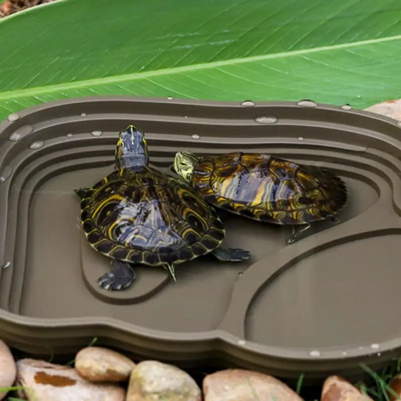 Step-Style Reptile Basin, Special Drinking Bath Pool for Semi-Aquatic Turtles, Large Space Landscape Breeding Tray
