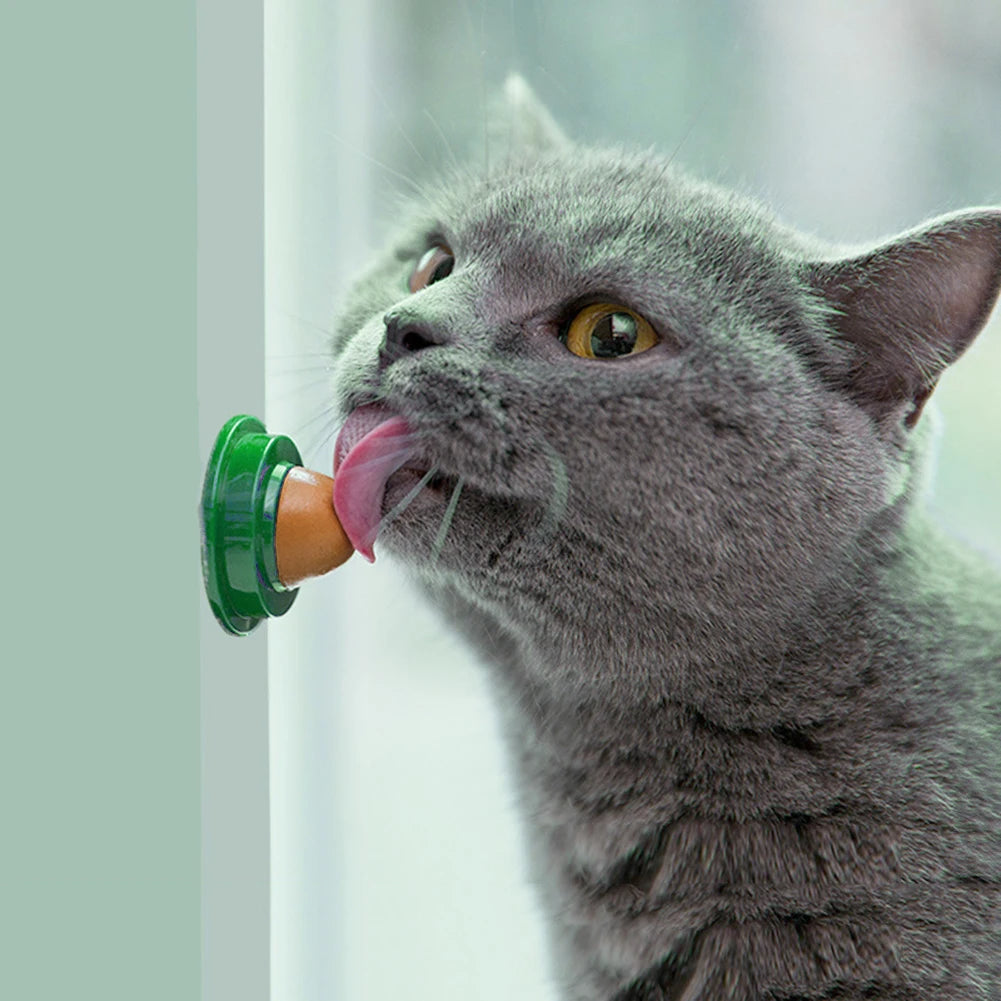 Cat Catnip Licking Candy for Kitten Increase Drinking Nutrition Gel Snacks
