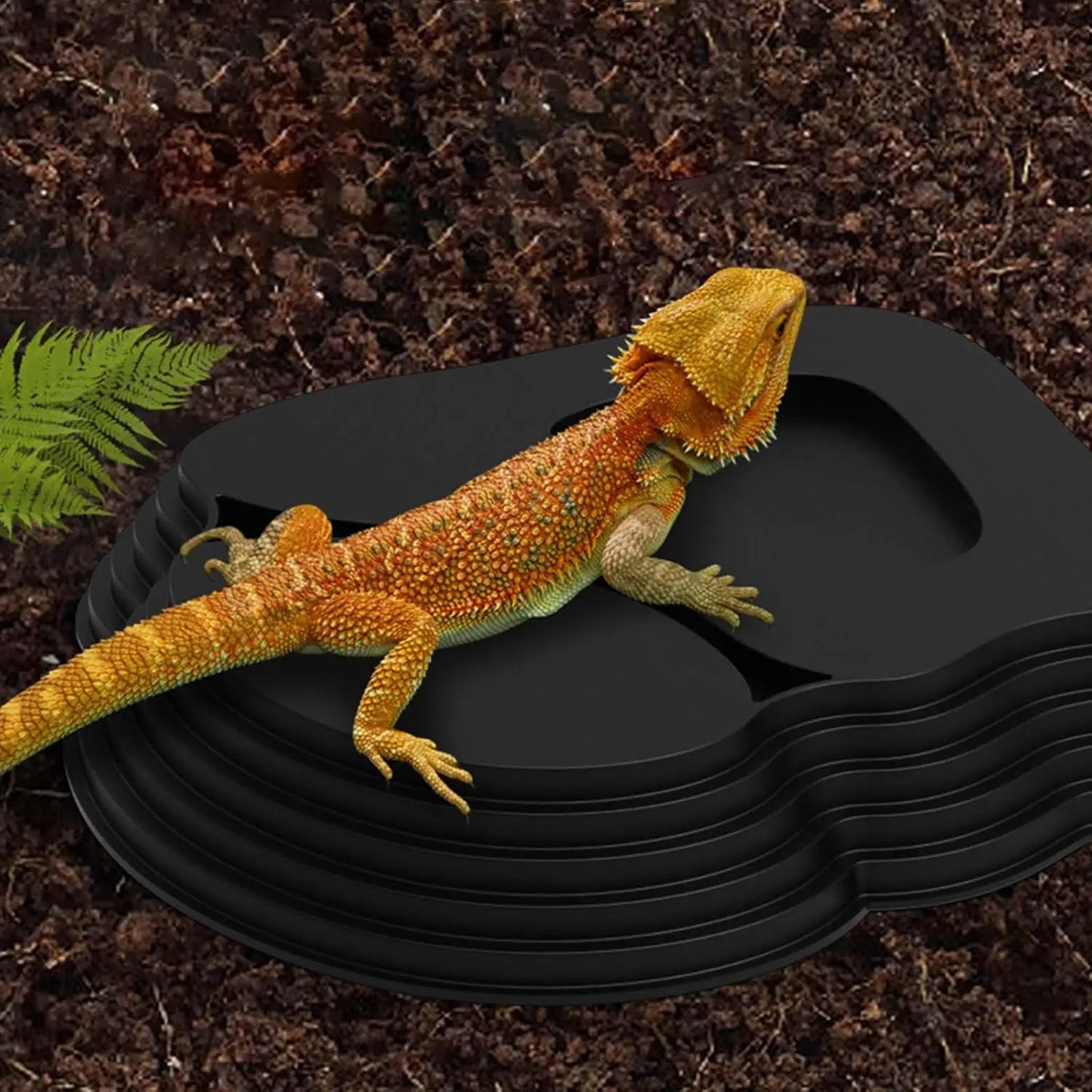 Step-Style Reptile Basin, Special Drinking Bath Pool for Semi-Aquatic Turtles, Large Space Landscape Breeding Tray