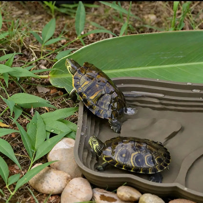 Step-Style Reptile Basin, Special Drinking Bath Pool for Semi-Aquatic Turtles, Large Space Landscape Breeding Tray