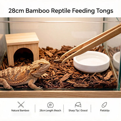 Bamboo Reptile Feeding Tongs – 28cm Long Tweezers for Lizard, Gecko, Turtle, Snake, Spider, Bird, 크레스티드게코